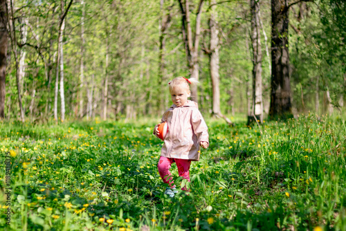 Obraz na płótnie A little girl of 2-3 years old stays in the forest and enjoys nature. Background of a green forest. The girl holds tightly in her hand an orange jar in which she collects the flowers she likes. w salonie