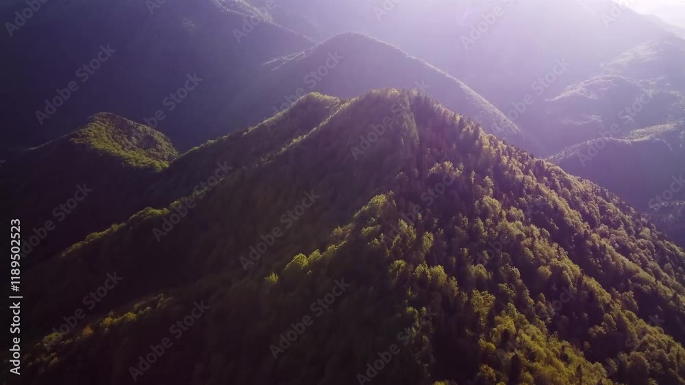 aerial view of green mountain landscape in spring