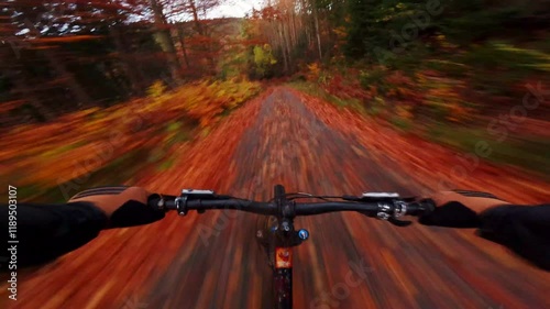 fast mtb ride in autumn forest at dusk, pov