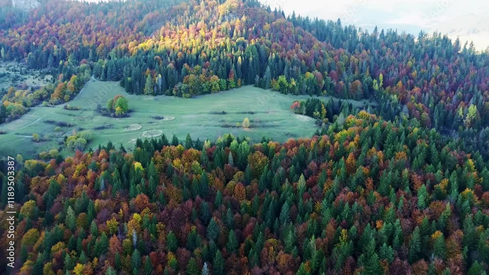 aerial view from a drone, autumn trees in the fore