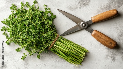Fresh herbs and garlic with scissors arranged on a kitchen countertop during ...