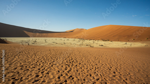 Fototapeta Naklejka Na Ścianę i Meble -  sand dunes in the desert