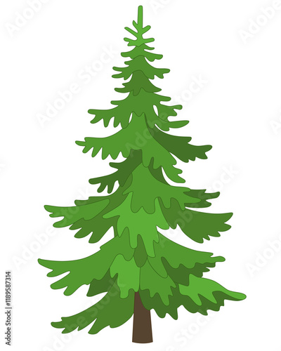 Tall Spruce, coniferous evergreen tree - vector full color picture. Christmas tree, stylized image of a plant.	