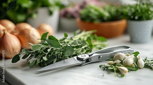 Fresh herbs and garlic with scissors arranged on a kitchen countertop during ...