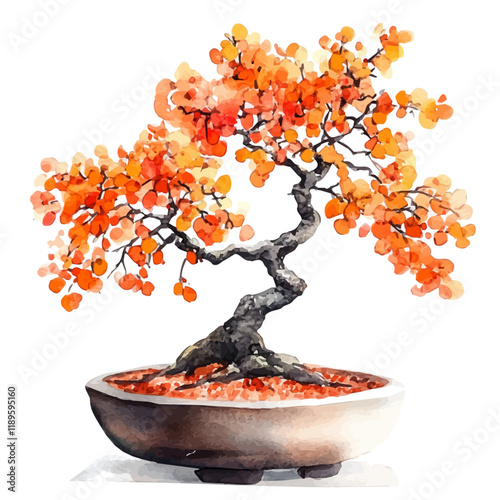 A watercolor vector of an Orange Bonsai, isolated on a white background. Orange Bonsai vector.
