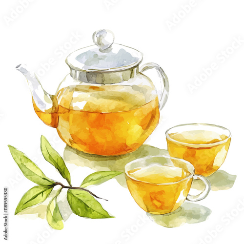 A watercolor vector of Oolong Tea, isolated on a white background. Oolong Tea vector.
