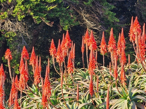 Scenes from San Francisco