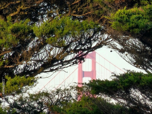 Scenes from San Francisco