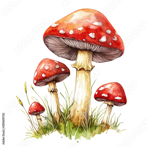 A watercolor illustration of mushrooms, isolated on a white background. Mushrooms vector.
