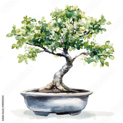 A watercolor clipart of a mulberry bonsai, isolated on a white background. Mulberry bonsai vector.
