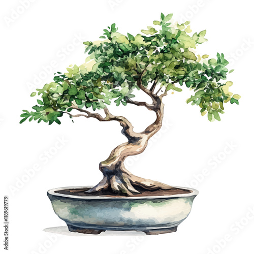 A watercolor drawing of a monkeypod tree bonsai, isolated on a white background. Monkeypod tree bonsai vector.
