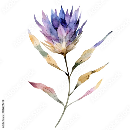 A watercolor painting of milk thistle, isolated on a white background. Milk thistle vector.
