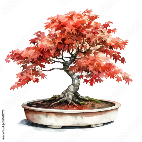 A watercolor painting of a maple bonsai, isolated on a white background. Maple bonsai vector.
