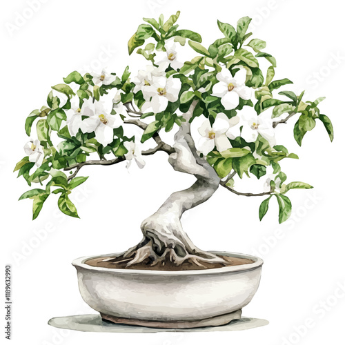 A watercolor of a Madagascar jasmine bonsai, isolated on a white background. Madagascar jasmine bonsai vector.
