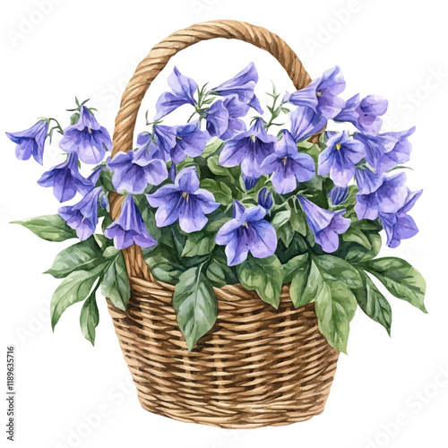 A watercolor vector of a lobelia bouquet in a basket, isolated on a white background. Lobelia bouquet in a basket vector.
 photo