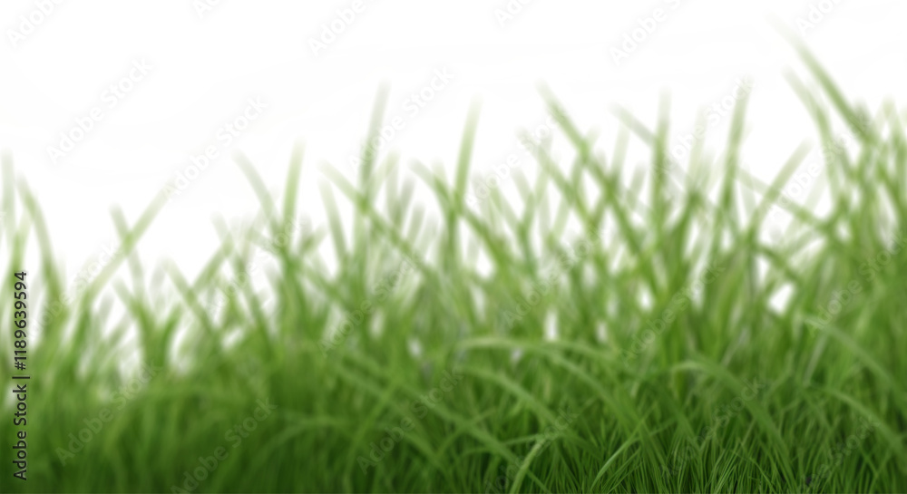 Grass Clipart, Grass Photo Effect, Realistic Grass Clipart, Grass Photo Overlay Grass Clipart, Grass Photo Effect, Realistic Grass Clipart, Grass Photo Overlay
