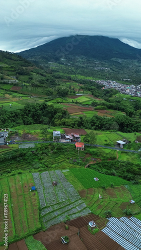 Aerial view of vegetables plantations with mountain on background of Dieng central java. Drone view of agriculture with fogs and mountains.  photo