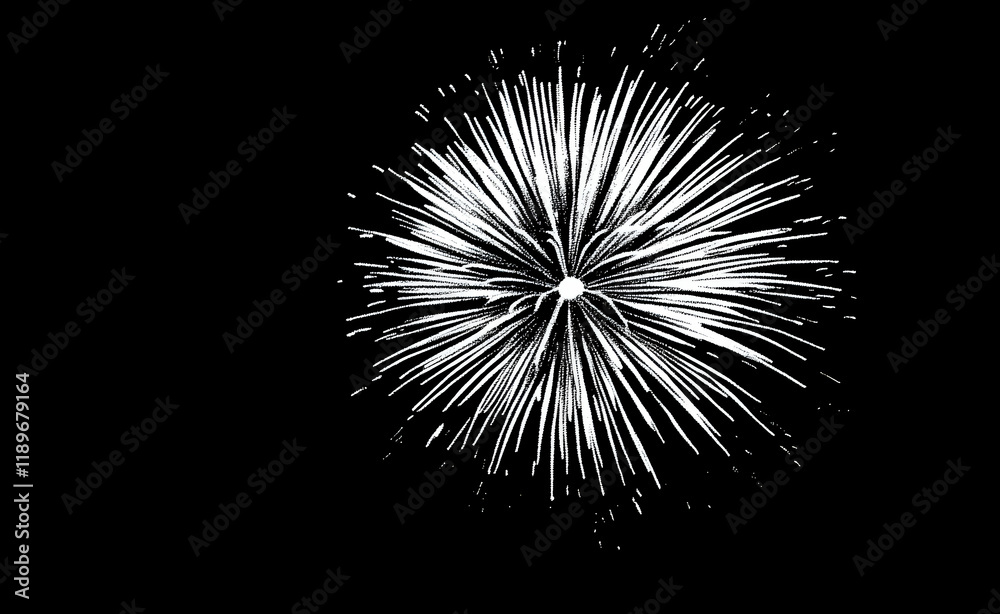 Obraz premium Monochromatic Fireworks Display: A Burst of White Light Against a Dark Night Sky