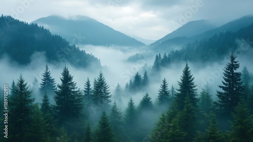 Misty mountain landscape with evergreen forest.