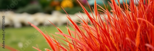 Vibrant Red Grass Blades in Closeup against Blurred Garden Background photo