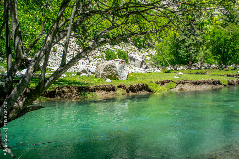 Naklejka premium Beautiful shot of the lake in the forest