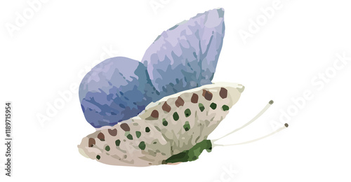 blue flower isolated on white background