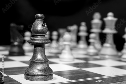 Chessmen photographed on a chessboard with a dark background
