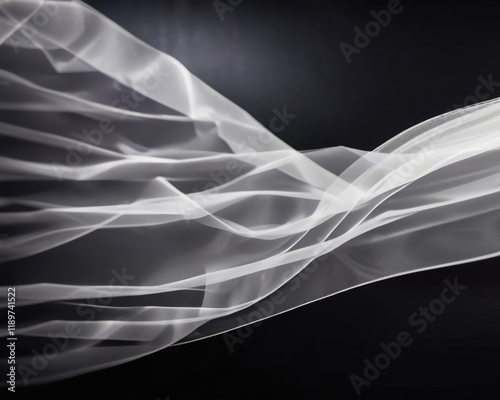 Wedding Veil Photo Overlays, Veil Effect, Screen Blending Mode