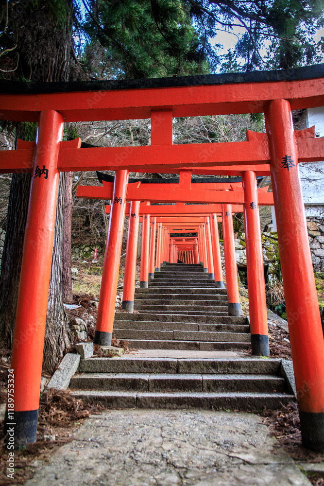 Red Torii Gate Pathway Leading Upward in Arikoyama Inari Shrine, Izushi, Japan Red Torii Gate Pathway Leading Upward in Arikoyama Inari Shrine, Izushi, Japan
