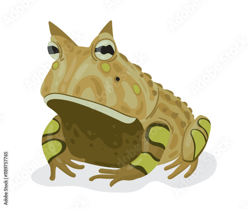 Horned frog. Tropical rainforest amphibian, predatory animal flat vector illustration. Cartoon horned frog isolated on white background