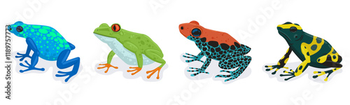 Exotic frogs. Tropical rainforest amphibian animals, tree frog and colorful poison frogs flat vector illustration set. Cartoon frogs isolated on white background