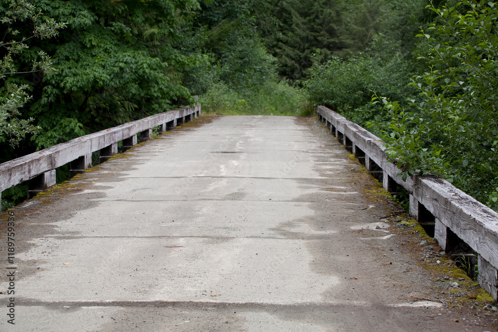 A logging road bridge in British Columbia A logging road bridge in British Columbia