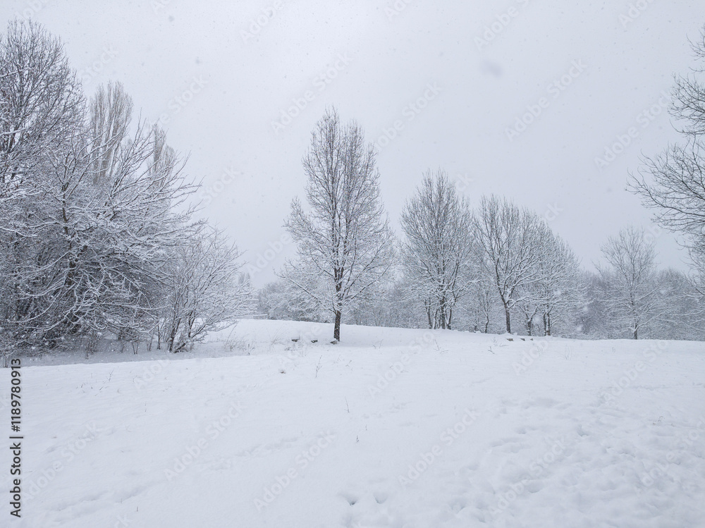Winter Landscape of South Park in city of Sofia, Bulgaria Winter Landscape of South Park in city of Sofia, Bulgaria