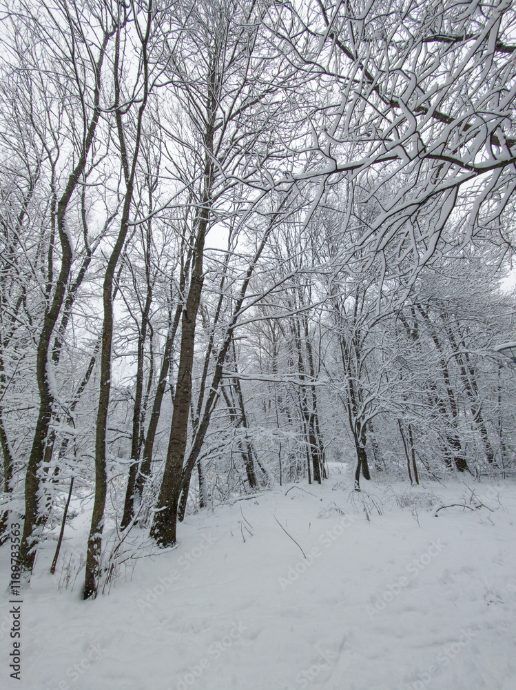 Winter Landscape of South Park in city of Sofia, Bulgaria Winter Landscape of South Park in city of Sofia, Bulgaria