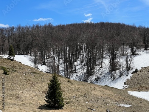 The last remnants of spring snow after a long and harsh mountain winter - Northern Velebit National Park, Croatia (Posljednji proljetni ostaci snijega nakon duge i oštre zime - NP Sjeverni Velebit) photo