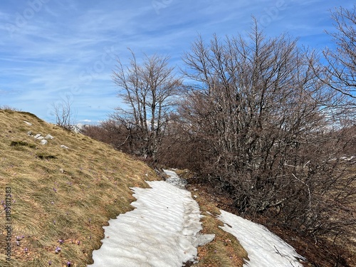 The last remnants of spring snow after a long and harsh mountain winter - Northern Velebit National Park, Croatia (Posljednji proljetni ostaci snijega nakon duge i oštre zime - NP Sjeverni Velebit) photo