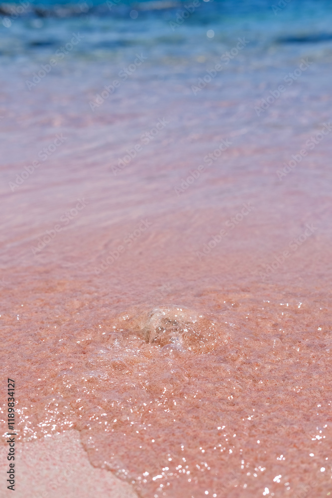 Pink Beach in the summer, famous for its unique pink sand and clear water, surrounded by breathtaking landscapes and vibrant marine life, Komodo National Park, Indonesia Pink Beach in the summer, famous for its unique pink sand and clear water, surrounded by breathtaking landscapes and vibrant marine life, Komodo National Park, Indonesia