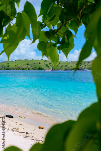 Pink Beach in the summer, famous for its unique pink sand and clear water, surrounded by breathtaking landscapes and vibrant marine life, Komodo National Park, Indonesia photo