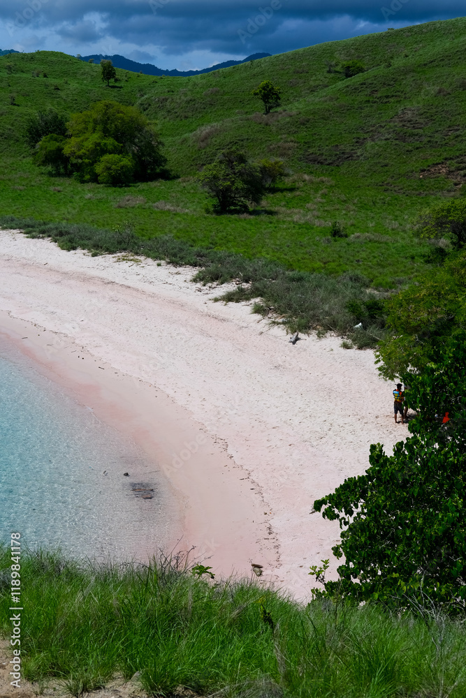 Pink Beach in the summer, famous for its unique pink sand and clear water, surrounded by breathtaking landscapes and vibrant marine life, Komodo National Park, Indonesia