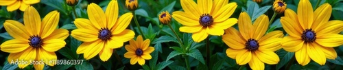 Yellow petals and purple stamens intertwined amidst foliage, arrangement, yellowflowers photo