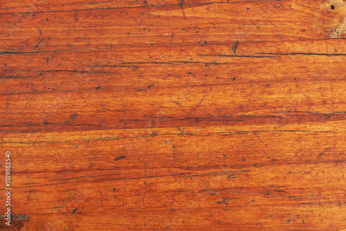 Wallpaper Mural Natural wood texture background, wooden plank board, interior wooden floor Torontodigital.ca