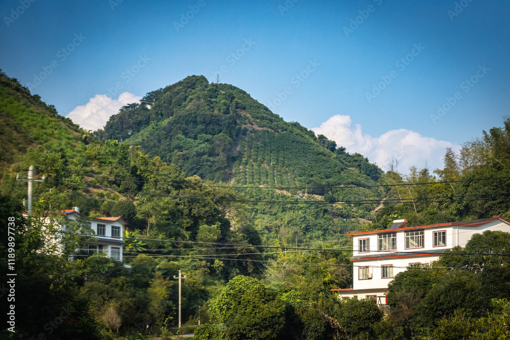 Φωτογραφία tea plantation, china, yangshuo, guilin, green tea, karst landscape, beautiful,