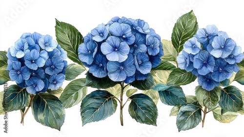 Watercolor Hydrangea Artwork - Elegant Blue Floral Design for Creative Decor