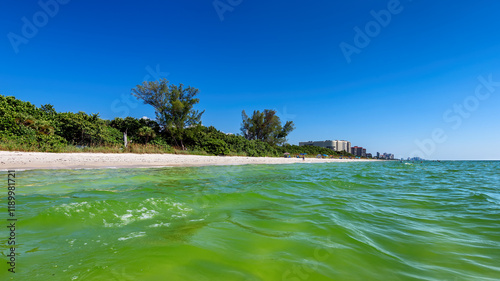 Obraz na płótnie Beautiful tropical Florida beach in sunny summer day, Naples, Florida. w salonie