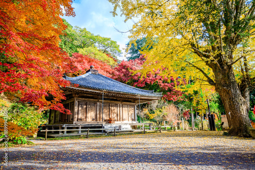 秋の富貴寺　大分県豊後高田市　Fukiji temple in autumn. Oita Pref, Bungoono City. photo