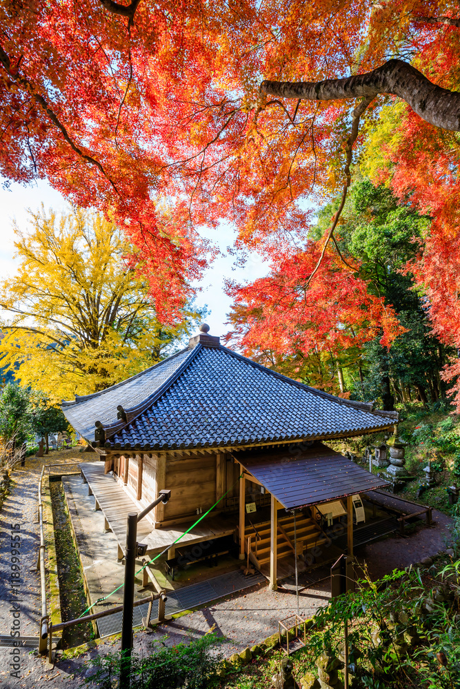 秋の富貴寺 大分県豊後高田市 Fukiji temple in autumn. Oita Pref, Bungoono City. 秋の富貴寺 大分県豊後高田市 Fukiji temple in autumn. Oita Pref, Bungoono City.