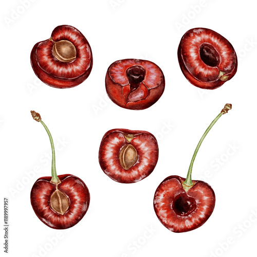 Photos Red cherries with stems set watercolor