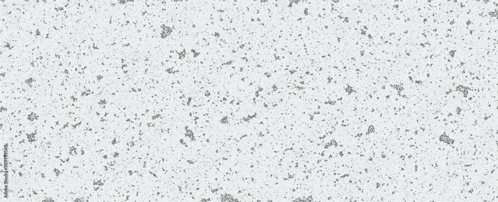 Spotted White Granite Texture with Natural and Organic Patterns in Neutral Tones. Rectangular rustic grunge gray texture for your desain Spotted White Granite Texture with Natural and Organic Patterns in Neutral Tones. Rectangular rustic grunge gray texture for your desain