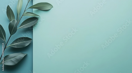 Muted teal clean background with soft color variation photo