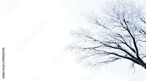 Wallpaper Mural A snowcovered tree with intricate frost patterns, highdetail macro shot, artistic winter photography, isolated on white background Torontodigital.ca